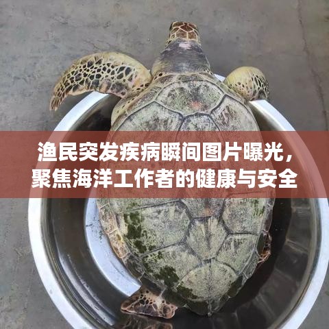 漁民突發疾病瞬間圖片曝光,聚焦海洋工作者的健康與安全問題