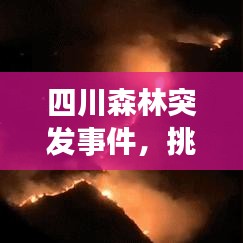 四川森林突發事件,挑戰下的生態守護與保護重要性