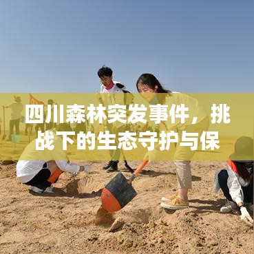 四川森林突發事件,挑戰下的生態守護與保護重要性