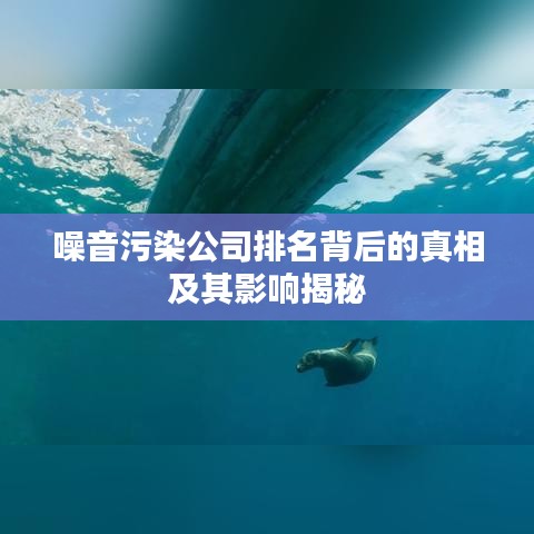 噪音污染公司排名背后的真相及其影響揭秘