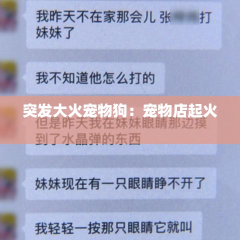 突發大火寵物狗:寵物店起火