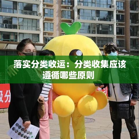 落實分類收運:分類收集應該遵循哪些原則