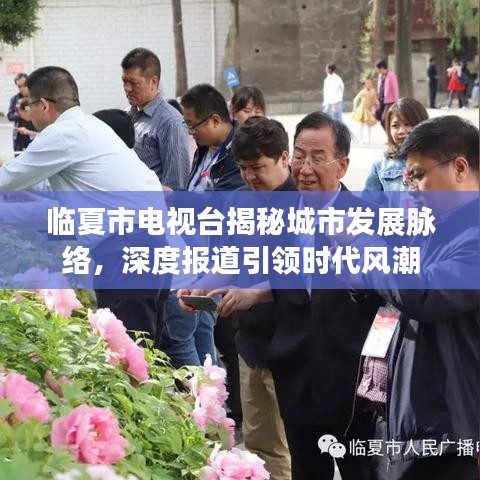 臨夏市電視臺揭秘城市發展脈絡,深度報道引領時代風潮