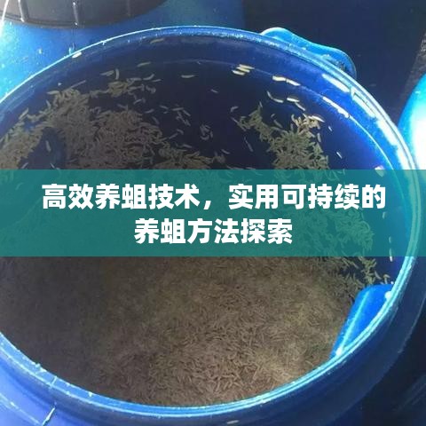 高效養蛆技術，實用可持續的養蛆方法探索