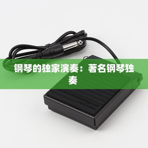 鋼琴的獨(dú)家演奏:著名鋼琴獨(dú)奏