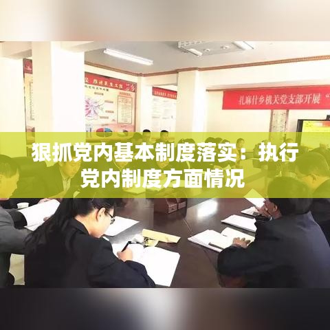 狠抓黨內基本制度落實：執行黨內制度方面情況 