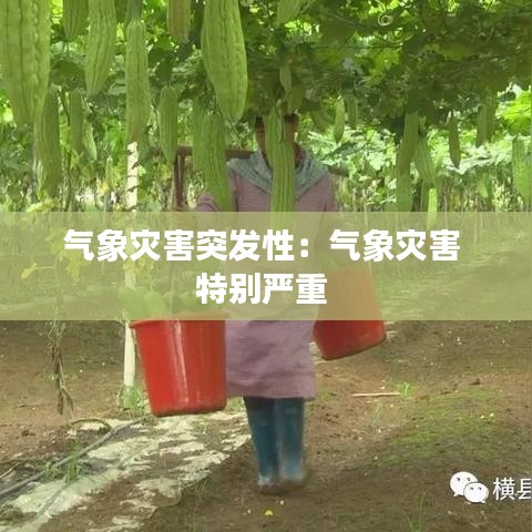氣象災害突發性:氣象災害 特別嚴重