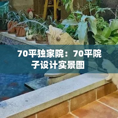 70平獨家院:70平院子設計實景圖