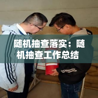 隨機抽查落實:隨機抽查工作總結