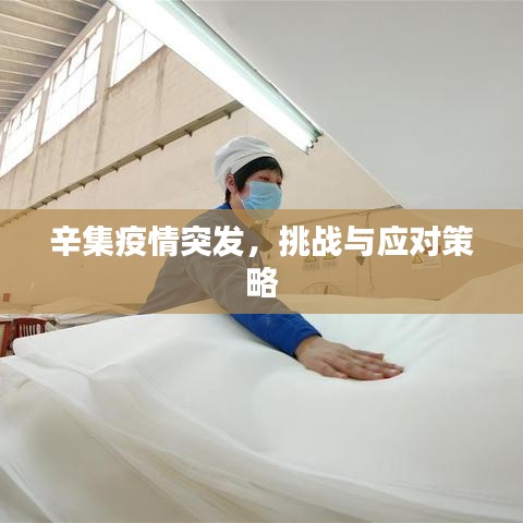 辛集疫情突發,挑戰與應對策略