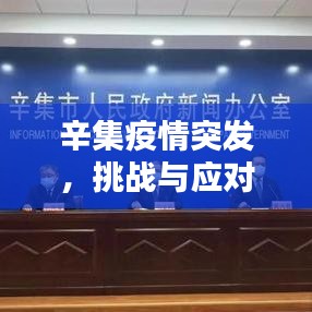辛集疫情突發,挑戰與應對策略