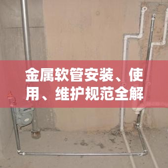 映月讀書 第3頁(yè)