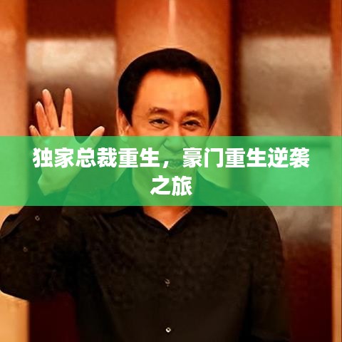 獨(dú)家總裁重生,豪門重生逆襲之旅