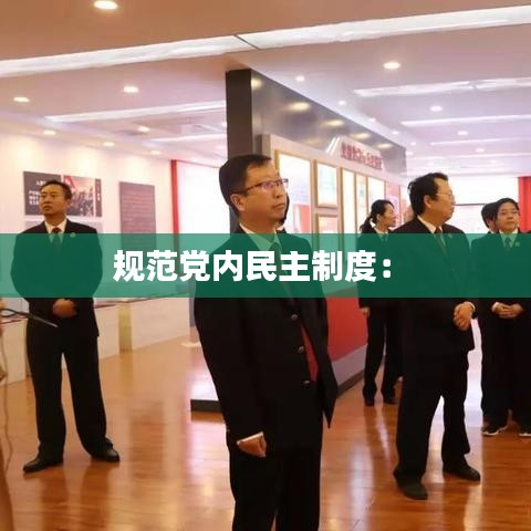 規范黨內民主制度: