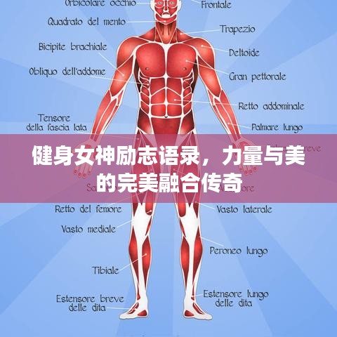 健身女神勵志語錄,力量與美的完美融合傳奇