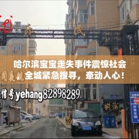 哈爾濱寶寶走失事件震驚社會(huì)，全城緊急搜尋，牽動(dòng)人心！
