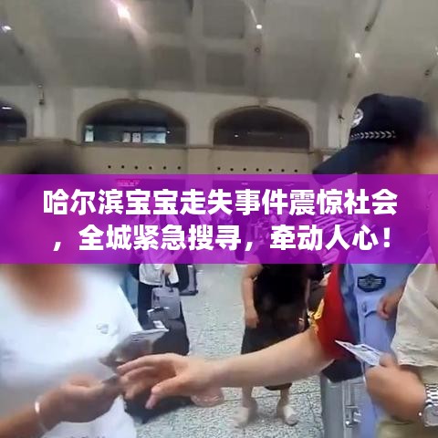 哈爾濱寶寶走失事件震驚社會(huì),全城緊急搜尋,牽動(dòng)人心!