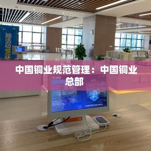 中國銅業(yè)規(guī)范管理:中國銅業(yè)總部