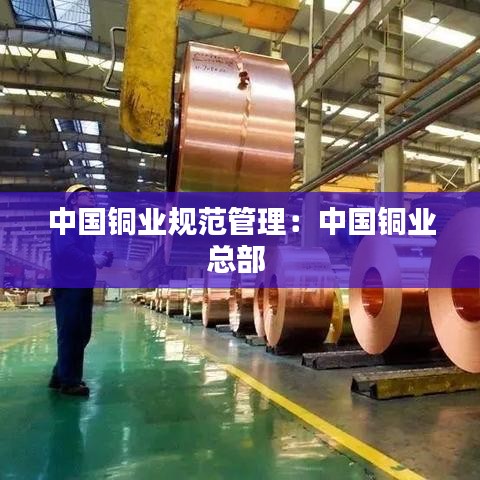 中國銅業(yè)規(guī)范管理:中國銅業(yè)總部