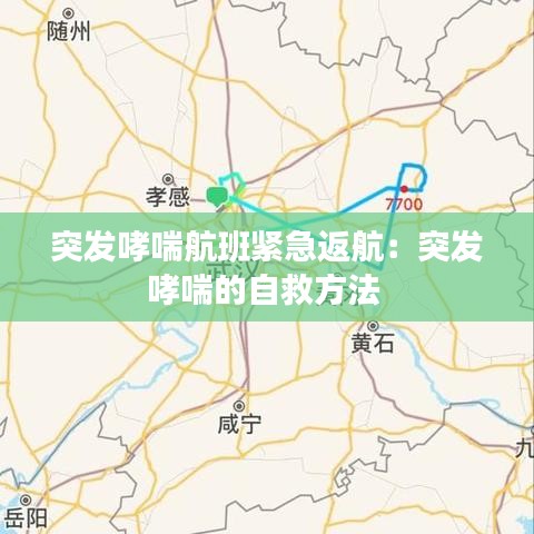 突發哮喘航班緊急返航:突發哮喘的自救方法