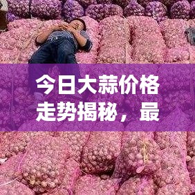 今日大蒜價格走勢揭秘,最新消息、市場分析及影響因素一網打盡