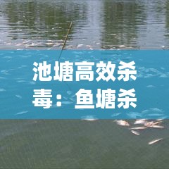 池塘高效殺毒:魚塘殺毒用什么最好