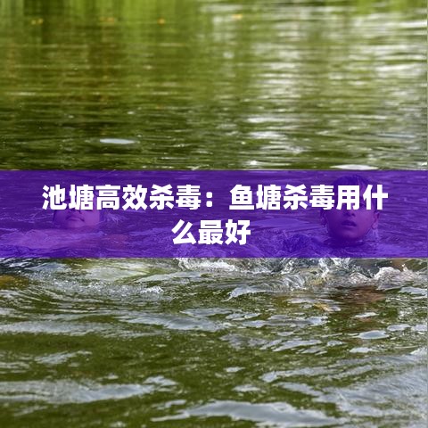 手不釋卷 第3頁