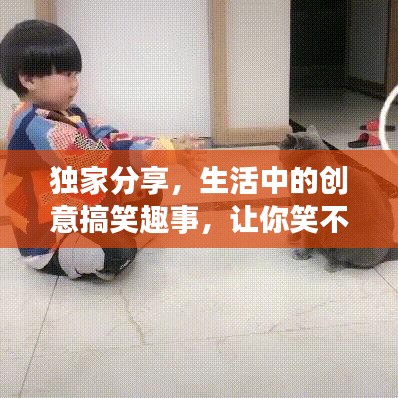 獨家分享,生活中的創意搞笑趣事,讓你笑不停歇!