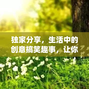 獨家分享,生活中的創意搞笑趣事,讓你笑不停歇!