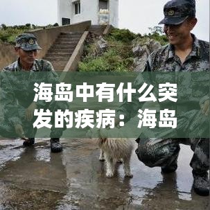 海島中有什么突發的疾病:海島現狀