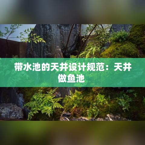 帶水池的天井設計規范:天井做魚池