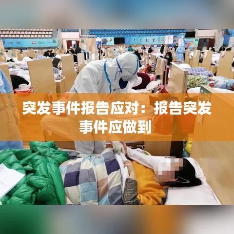 突發(fā)事件報告應(yīng)對:報告突發(fā)事件應(yīng)做到