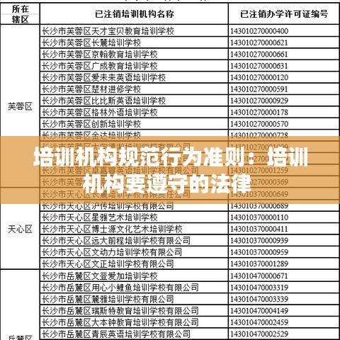 培訓機構規范行為準則：培訓機構要遵守的法律 