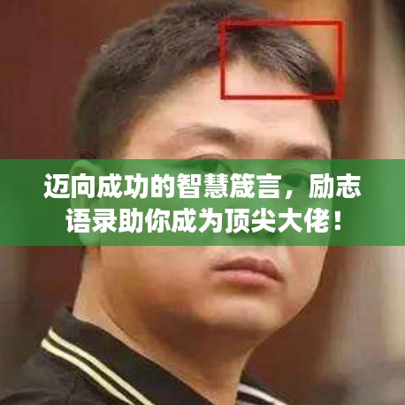 邁向成功的智慧箴言,勵(lì)志語錄助你成為頂尖大佬!