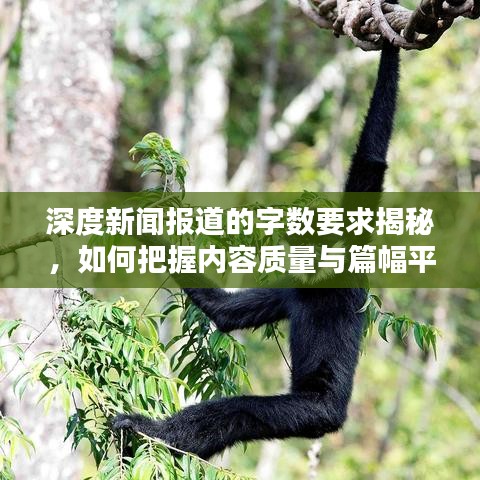 深度新聞報道的字數要求揭秘,如何把握內容質量與篇幅平衡?