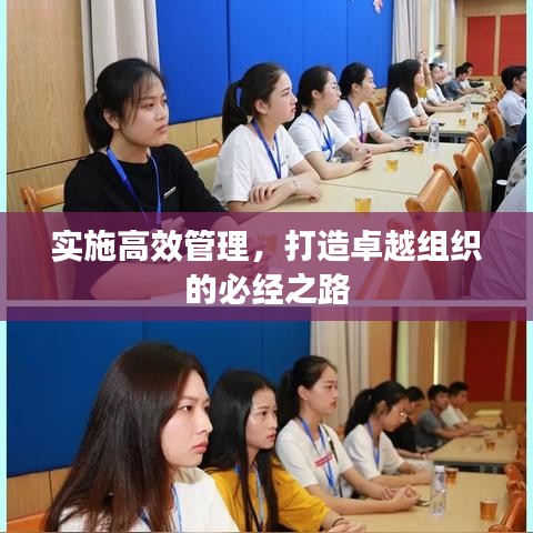 實施高效管理，打造卓越組織的必經之路