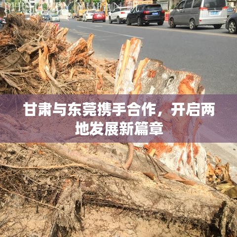 甘肅與東莞攜手合作,開啟兩地發展新篇章