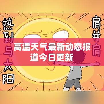 高溫天氣最新動態報道今日更新