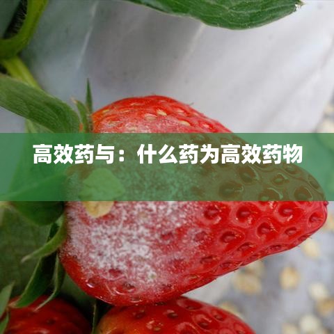 高效藥與:什么藥為高效藥物