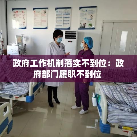 政府工作機制落實不到位:政府部門履職不到位