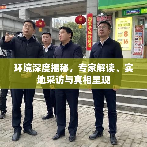 環境深度揭秘,專家解讀、實地采訪與真相呈現
