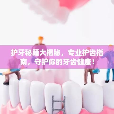 護牙秘籍大揭秘，專業護齒指南，守護你的牙齒健康！