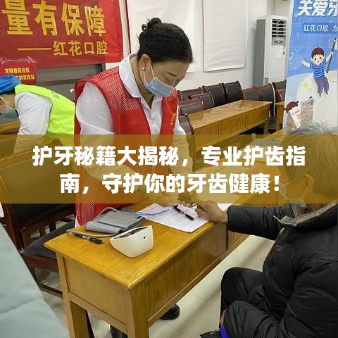 護牙秘籍大揭秘,專業護齒指南,守護你的牙齒健康!