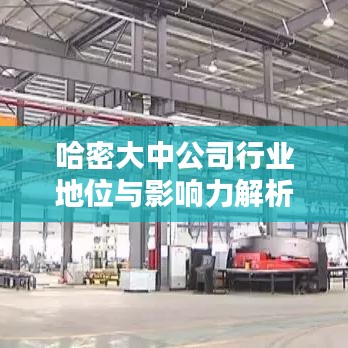 哈密大中公司行業地位與影響力解析，排名及影響力揭秘
