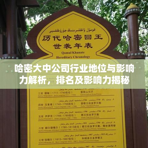 哈密大中公司行業地位與影響力解析,排名及影響力揭秘