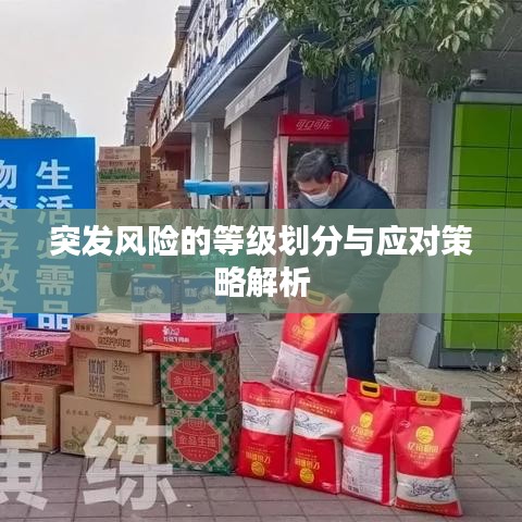 突發風險的等級劃分與應對策略解析