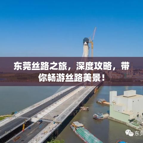 東莞絲路之旅,深度攻略,帶你暢游絲路美景!