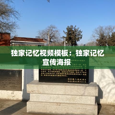 獨家記憶視頻模板:獨家記憶宣傳海報