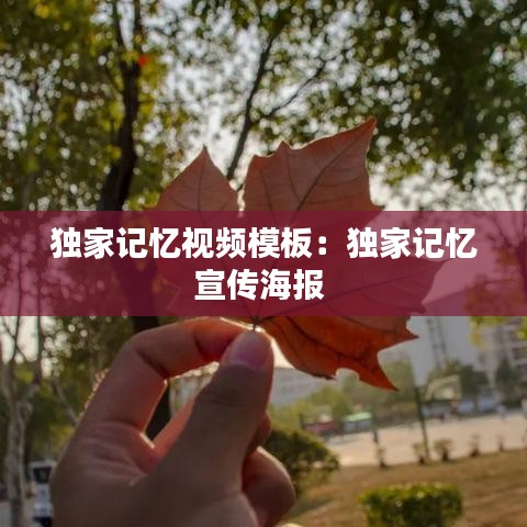 獨家記憶視頻模板:獨家記憶宣傳海報