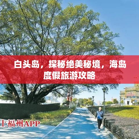 白頭島,探秘絕美秘境,海島度假旅游攻略